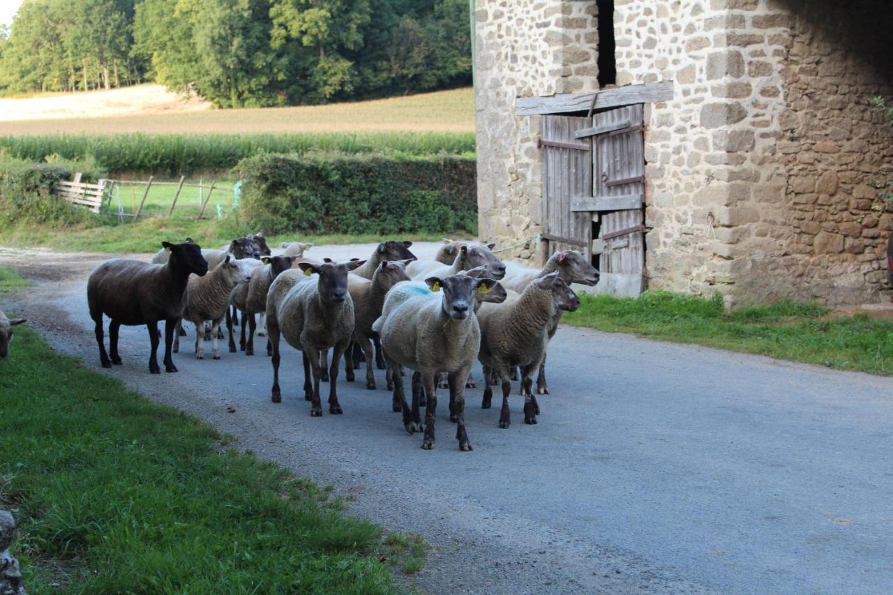 Bed and Breakfast Dans La Creuse Mourioux-Vieilleville Exterior foto